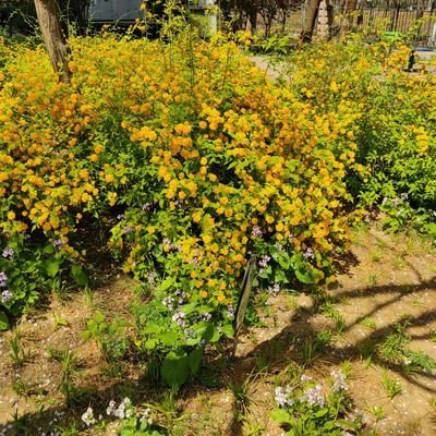 hMxQeN80Ah4lrTw's profile picture. 人菜淫大