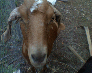 crispyfarms's profile picture. 