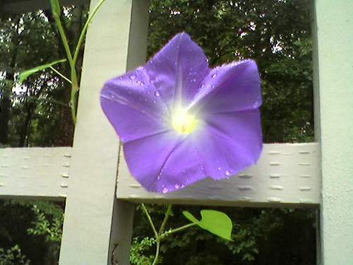 pots10's profile picture. 