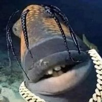 moistcorn (@vertixexiled999) 's Twitter Profile