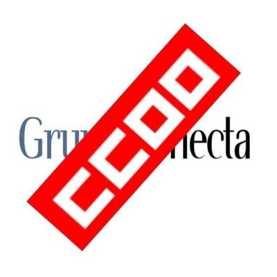 Sección Sindical Estatal del CCOO Grupo Konecta