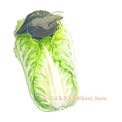 96yenさんのプロフィール画像