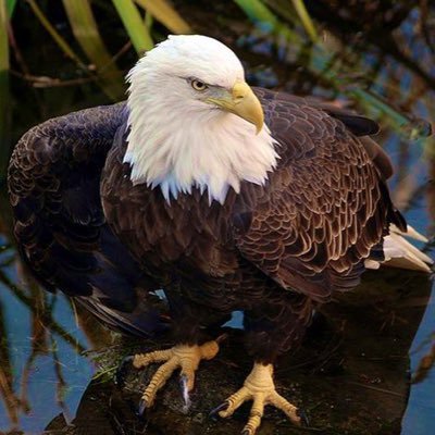 GML98670617's profile picture. 健康あっての人生。好きなこと呟く