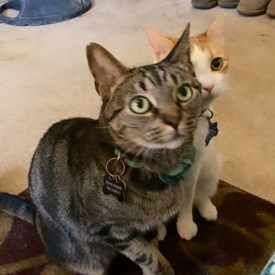 wealldudes's profile picture. I have nothing to say