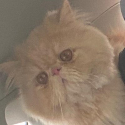 rimnab3's profile picture. 