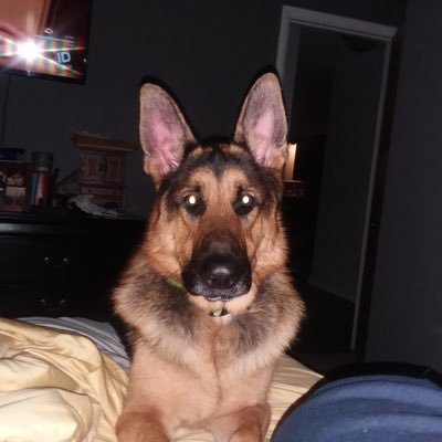 JasonPa09009592's profile picture. 