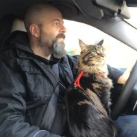 Stefano Casillo (@kunosstefano) 's Twitter Profile