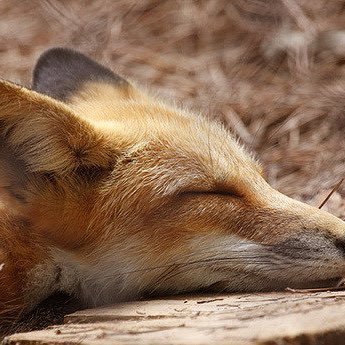 yeon_ssan's profile picture. ❤️🐻