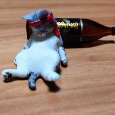 腰痛と鎮痛剤が友達さ(⚈ ̍̑⚈ ̍̑⚈)
令和のマザーテレサ👰‍♀️