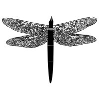 Flight of the Dragonfly - Spoken Word, e-Journal(@DragonfliesSW) 's Twitter Profile Photo
