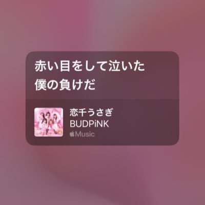 KOCHIUSAGI_men's profile picture. 僕は恋するうさぎちゃん🐇