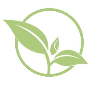 Your first choice in York Region for care during pregnancy, birth and beyond! Midwifery care is free even if you do not have OHIP.