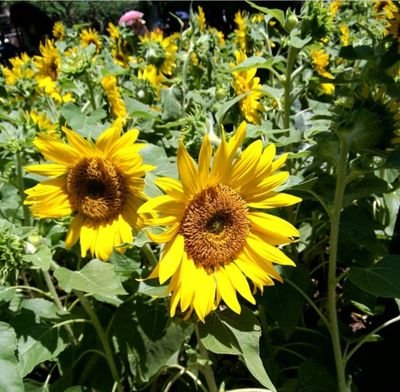 MariaJa74081214's profile picture. 🤗🤗🤗🤗🤗🤗🤗🤩🤩🤩🤩🤩