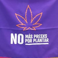 Bancada Transversal Regulación x La Paz(@RegxLaPaz) 's Twitter Profile Photo