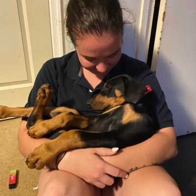 I like my dog more than you.