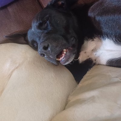 mondiman721's profile picture. life insurance. Prime example of money can not buy happiness!