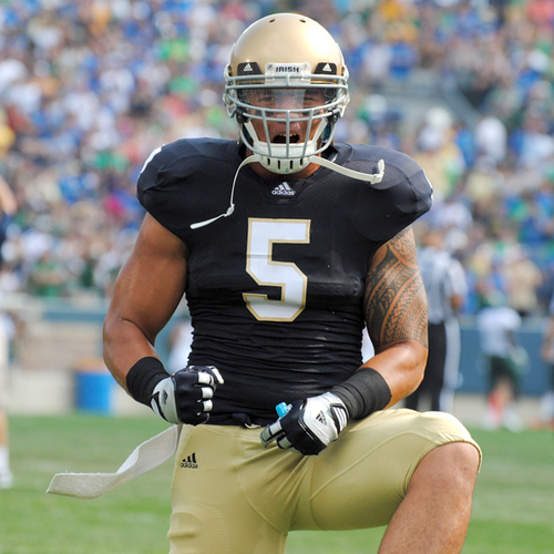 ObserverSportsEditor Profile