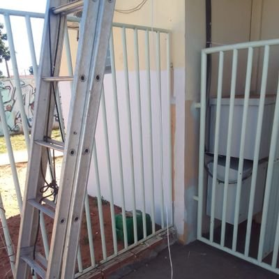 eunaosourafael's profile picture. 