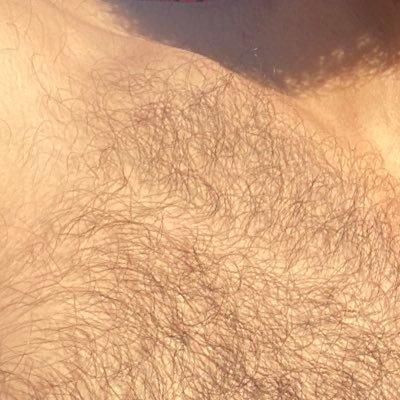 LionHay2's profile picture. love urself