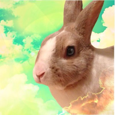 四半世紀以上生きている人間。おなぐさみリスト試運転中https://t.co/jV9biQDAza タイッツーhttps://t.co/Bp92CWjp1e