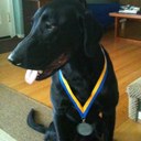 Terrence Wong - @twong80 - Twitter