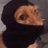 cy_fig's profile image