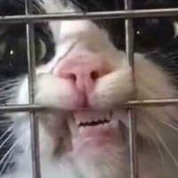 g (@morehousebites0) 's Twitter Profile
