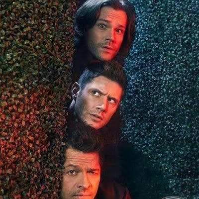 RyudeUrantia's profile picture. Aquí por un trabajo.