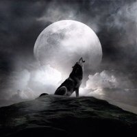 Lea, Werewolf Wrangler(@WerewolfScribe) 's Twitter Profileg