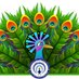 Palawan Festivals and Event (@palawanfestival) Twitter profile photo
