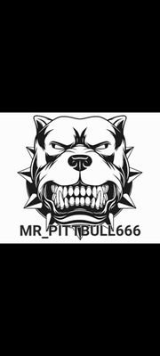 MR PITTBULLS GAMING SHOW. Mainly pubg clips of me or me and the mrs. Regular uploads and more.