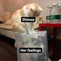 Shimaa Abaza (@shimaaabaza3) 's Twitter Profile
