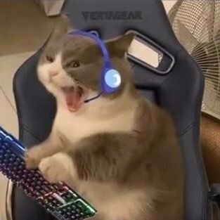 ice_sandwich1's profile picture. 