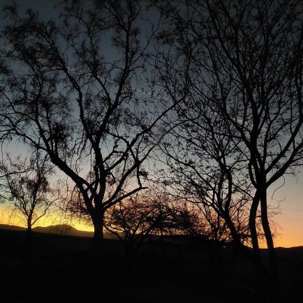 Sandra280925's profile picture. 