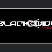 Blackwidows 18u Gold (@18ublackwidows) 's Twitter Profile