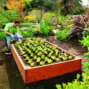 Visit my site at http://garden-bed.hoobro.info.