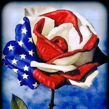 Nancylynn1010's profile picture. I am schooling the grands. It wouldn’t be so bad if we had a better janitor and cafeteria lady. Keep the faith everyone! It’s a great life if you don’t weaken.