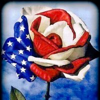 Nancy 🩸#MAGA (@nancylynn1010) 's Twitter Profile