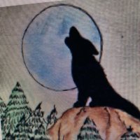 Jessie Wowk T-Wolves (@wowktwolves) 's Twitter Profile