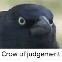 Lizzard_1337's profile picture. World is cringe