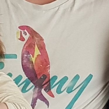 xpunktnabru's profile picture. 