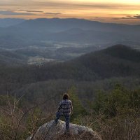 Will Reed (@wackywillbob) 's Twitter Profile