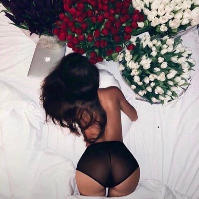reNEEobii's profile picture. WIFI,FOOD, MY BED. PERFECTION.