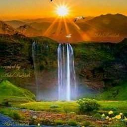 noingriz's profile picture. 