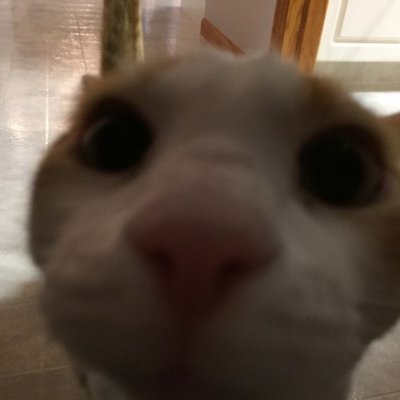 klxteczka's profile picture. OTP IRELIA
D1 PEAK!!!
