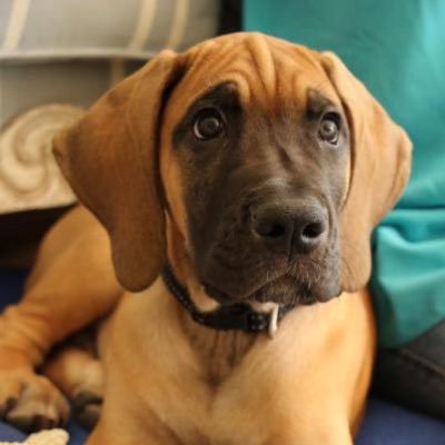 dad_stu's profile picture. Young at heart , devoted Husband and Father. Eternal Peter Pan who will not let the “old-man” in.