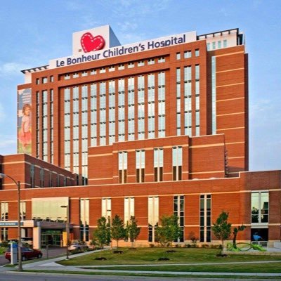 Le Bonheur Neuroscience Institute Profile