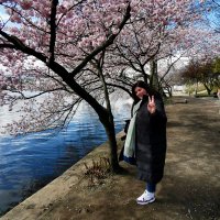 Nikolina Miščević (@n_miscevic) 's Twitter Profile