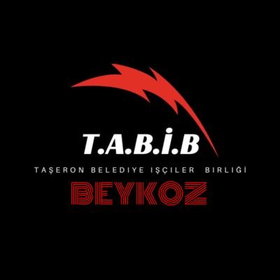 Taşeron Belediye İşçiler Birliği