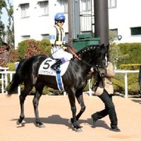 Jack Y.Asada(Horse) (@magicalmysteryh) 's Twitter Profile